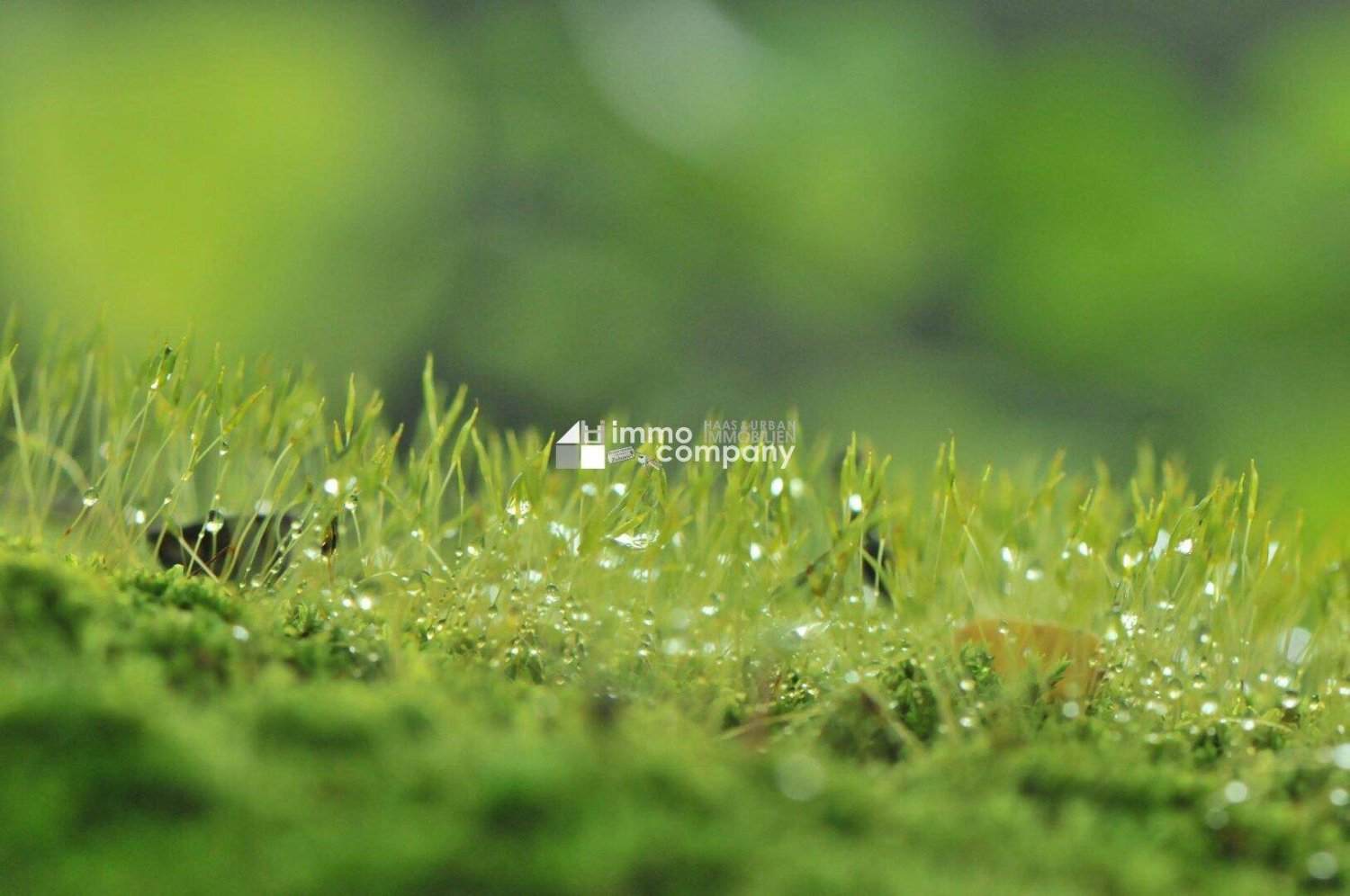 570m² Land in Eggendorf, Austria No. 217616