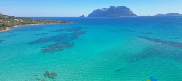 5-Zimmer Haus in Olbia, Italy, Nr. 277533 4