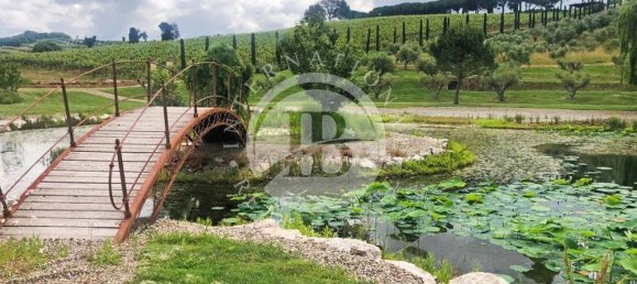 20 Schlafzimmer Villa in Massa Marittima, Italy, Nr. 233392 32