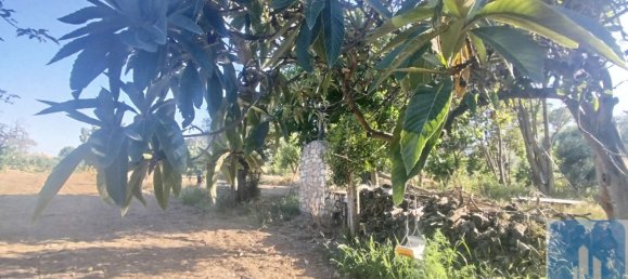  Land in Huesca, Spain No. 134720 4