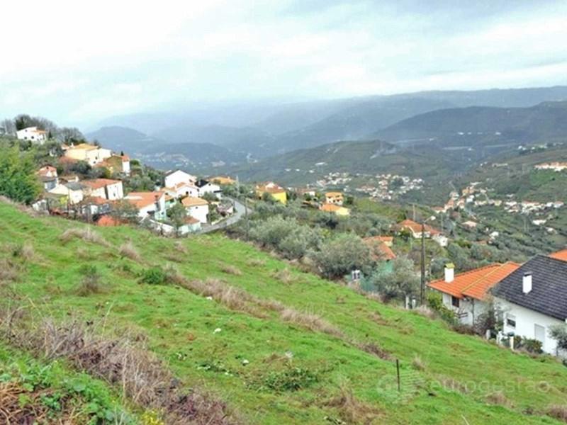 4600m² Land in Lamego, Portugal No. 311210