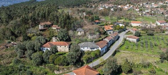 5 Schlafzimmer Haus in Mondim de Basto, Portugal, Nr. 21610 26