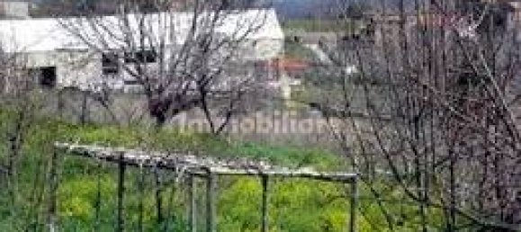 1-Zimmer Lagerhaus in Capannori, Italy, Nr. 269815 4