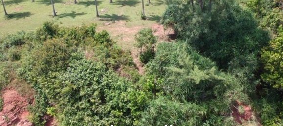 Commercial property in Bang Saphan, Thailand No. 17494 5