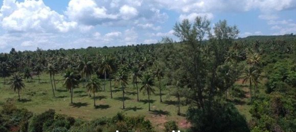 Commercial property in Bang Saphan, Thailand No. 17494 4