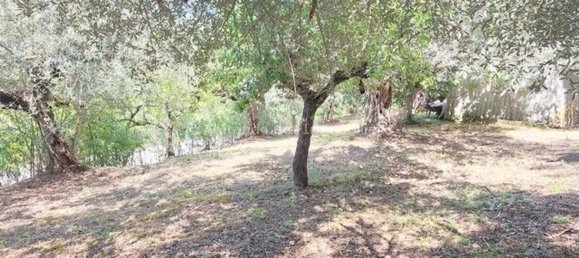 10 chambres Villa à Collecorvino, Italy No. 315955 33