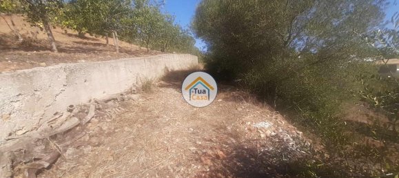  قطعة أرض في Sao Bras de Alportel, Portugal 360متر مربع رقم 77478 5
