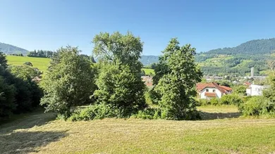  Land in Scheibbs, Austria No. 64132