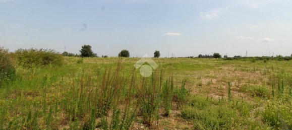 Земельный участок 6386м² в Колонье, Италия № 17624 3