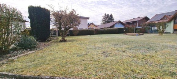 5-salle Maison à Marchtrenk, Austria No. 138376 4