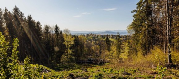 Gewerbliche Immobilie in Fernitz-Mellach, Austria 209m², Nr. 127997 8