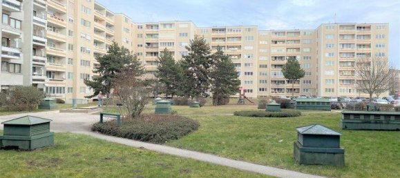 4غرفة عقار تجاري في Wiener Neustadt, Austria رقم 67121 23