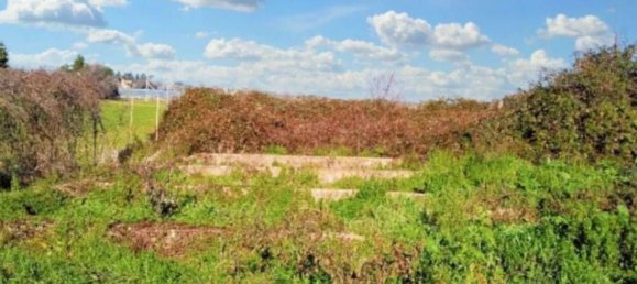 3240m² Warehouse in Montecassiano, Italy No. 320587 4