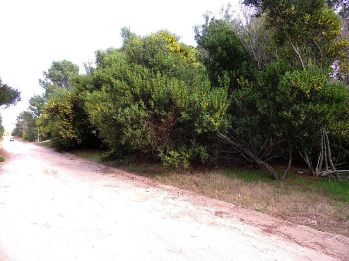  Land in Mar del Plata, Argentina No. 121535