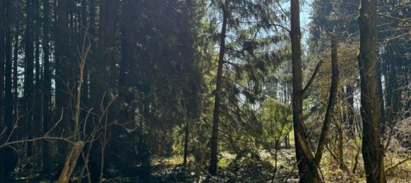 Земельный участок в Кауфбойрен, Германия № 270068 4