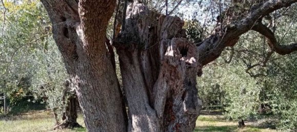 Дом с 5 комнатами в Рокка Сан Джованни, Италия № 164745 4