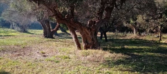 Дом с 5 комнатами в Рокка Сан Джованни, Италия № 164745 2