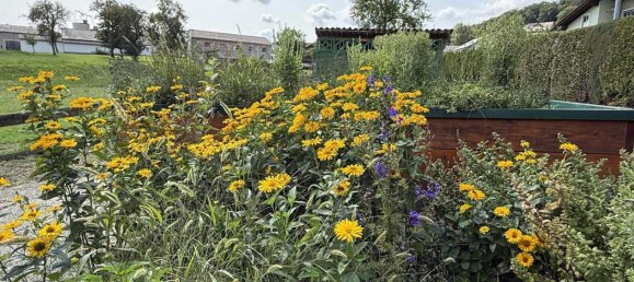 Бунгало с 6 комнатами в Лайбен, Австрия № 207536 44