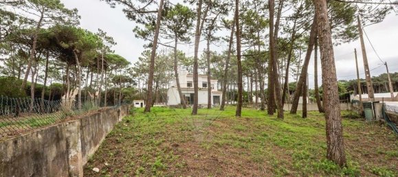 4 chambres Villa à Colares, Portugal No. 164359 6