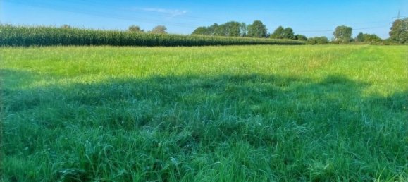 Terreno en Munich, Germany No. 126472 2