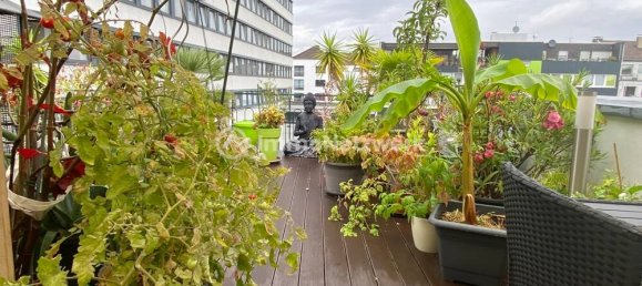 11غرفة بناية في Krefeld, Germany رقم 49733 25