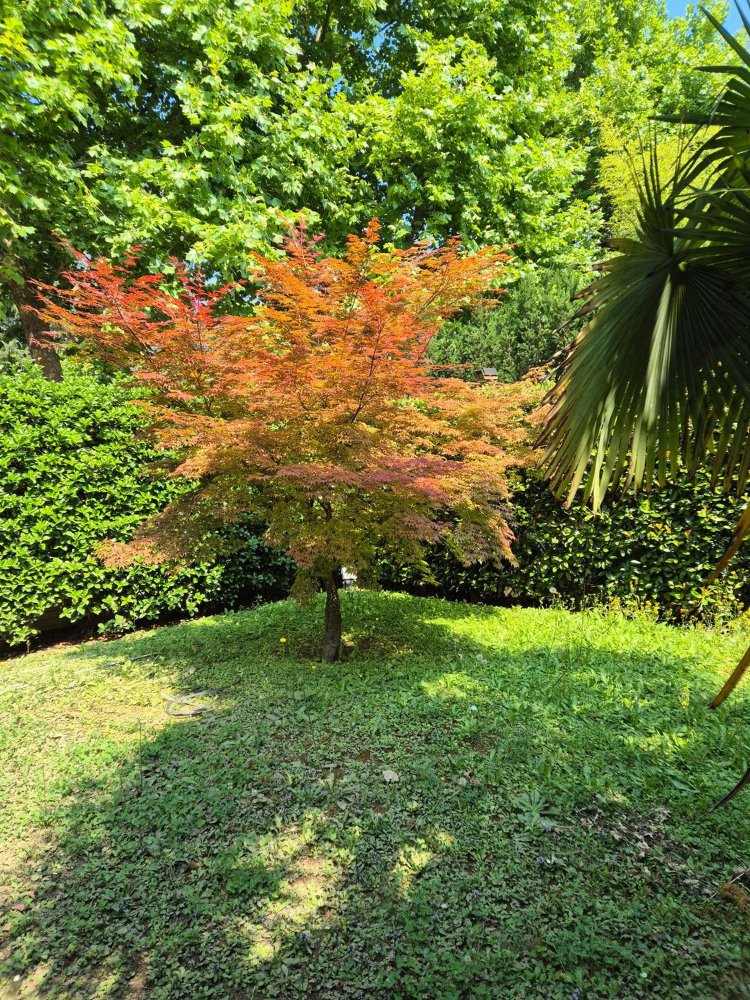 5 bedrooms House in Venice, Italy No. 318161