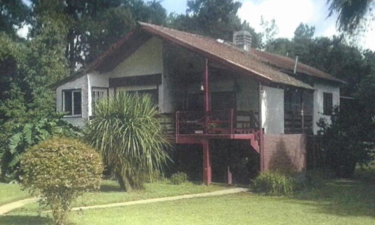  Commercial property in Tigre, Argentina No. 109177