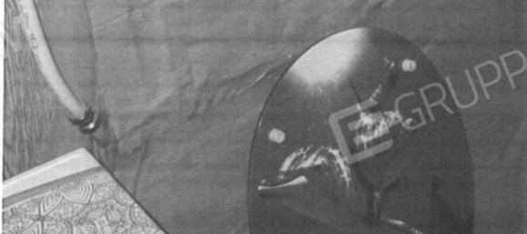 4 Schlafzimmer Wohnung in San Severo, Italy, Nr. 376949 10