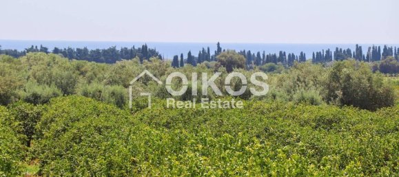 3 Schlafzimmer Villa in Noto, Italy, Nr. 124866 13