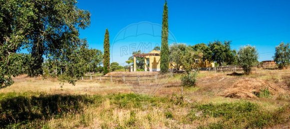 6 Schlafzimmer Schlösser in Coruche, Portugal, Nr. 26297 14