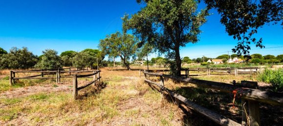 6 Schlafzimmer Schlösser in Coruche, Portugal, Nr. 26297 15