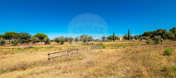 6 Schlafzimmer Schlösser in Coruche, Portugal, Nr. 26297 38