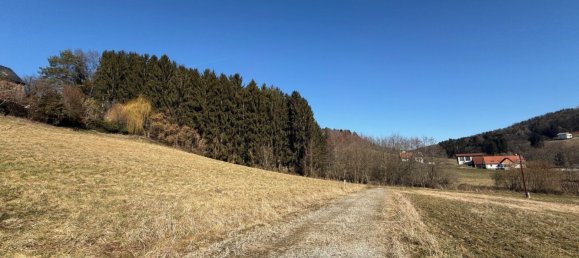 Земельный участок в Нестельбах бай Грац, Австрия № 132232 3