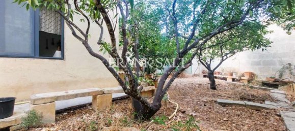 3 chambres Maison de ville à Mosta, Malta No. 2335 11