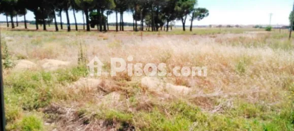  قطعة أرض في Iscar, Spain 6105متر مربع رقم 31384 6