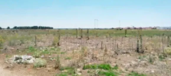  قطعة أرض في Iscar, Spain 6105متر مربع رقم 31384 7