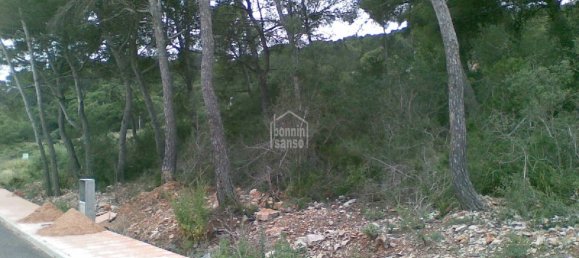 Terreno T4 em Es Mercadal, Spain N.º 3840 12