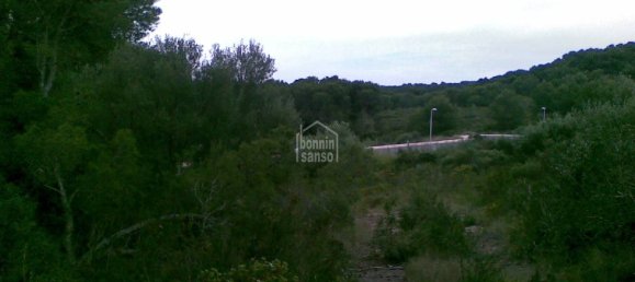 Terreno T4 em Es Mercadal, Spain N.º 3840 13