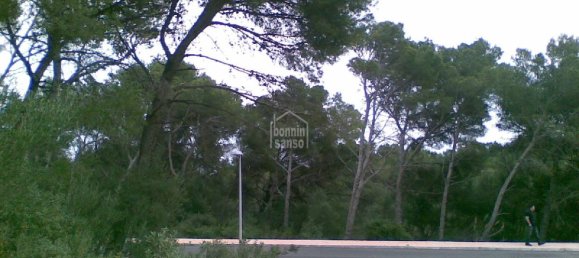 Terreno T4 em Es Mercadal, Spain N.º 3840 9