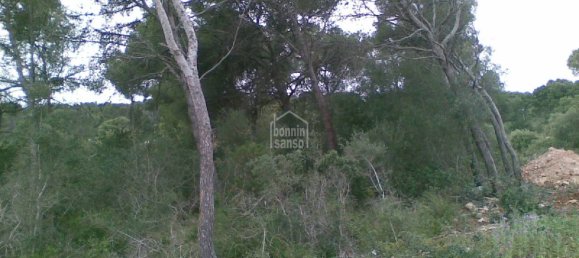 Terreno T4 em Es Mercadal, Spain N.º 3840 11