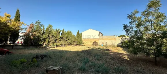  Land in Malaga, Spain No. 169064 7