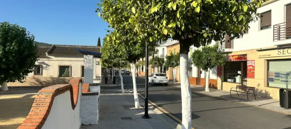  Land in Malaga, Spain No. 169064 11