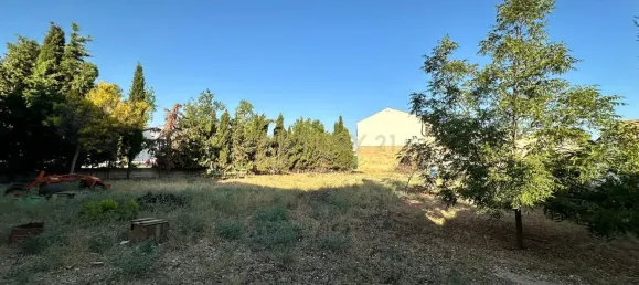  Land in Malaga, Spain No. 169064 6