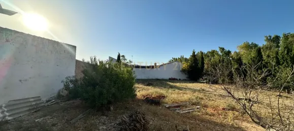  Land in Malaga, Spain No. 169064 8