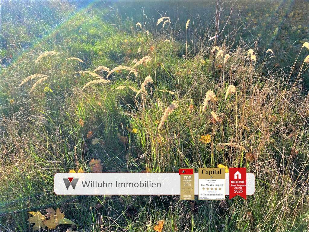  Land in Nordsachsen, Germany No. 261650