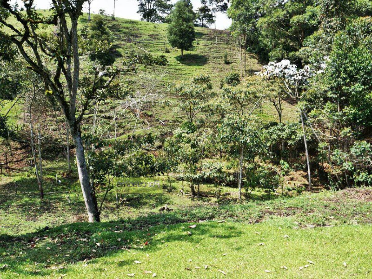  Land in Antioquia, Colombia No. 636