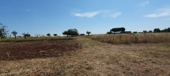 Terrain à Nardò, Italy 10141m² No. 86001 8