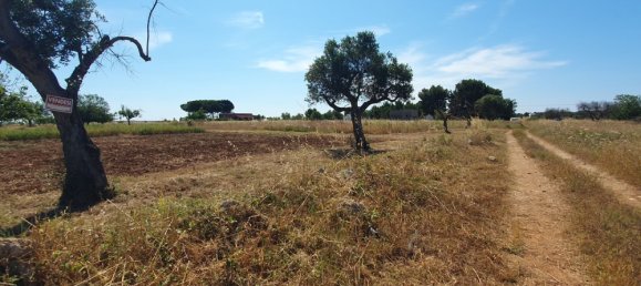 Terrain à Nardò, Italy 10141m² No. 86001 7