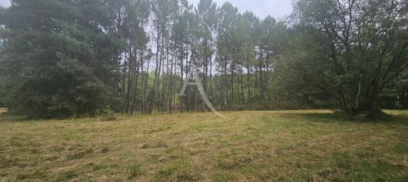  Land in Cere-la-Ronde, France No. 252552 10