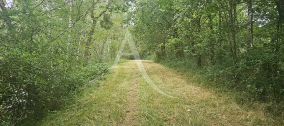  Land in Cere-la-Ronde, France No. 252552 8